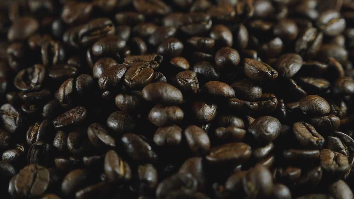 fresh roasted coffee beans Mama Bearista Coffee